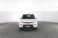 usato FIAT Panda
