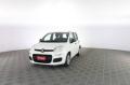 usato FIAT Panda