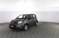 usato FIAT Panda