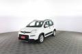 usato FIAT Panda