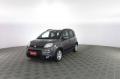 usato FIAT Panda