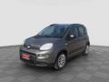 usato FIAT Panda