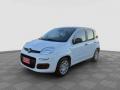 Km 0 FIAT Panda