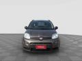 usato FIAT Panda
