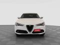usato ALFA ROMEO Stelvio