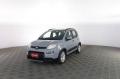 usato FIAT Panda