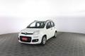 usato FIAT Panda