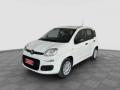 usato FIAT Panda