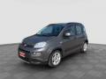 usato FIAT Panda