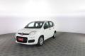 usato FIAT Panda