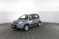 usato FIAT Panda