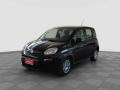 usato FIAT Panda