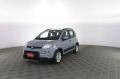 usato FIAT Panda