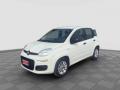 usato FIAT Panda