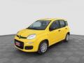 usato FIAT Panda