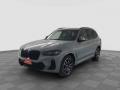 usato BMW X3