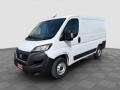usato FIAT Ducato