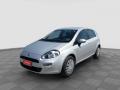 usato FIAT Punto
