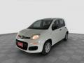 usato FIAT Panda