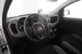 usato FIAT Panda