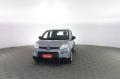 usato FIAT Panda