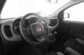 usato FIAT Panda