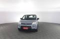 usato FIAT Panda