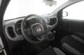 usato FIAT Panda