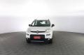 usato FIAT Panda