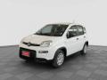 usato FIAT Panda