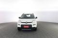 usato FIAT Panda