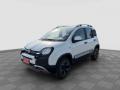 usato FIAT Panda Cross