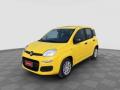 Km 0 FIAT Panda