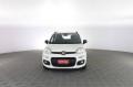usato FIAT Panda