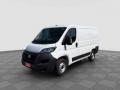 usato FIAT Ducato