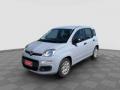 usato FIAT Panda