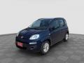 usato FIAT Panda