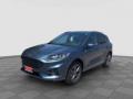 usato FORD Kuga