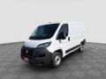 usato FIAT Ducato