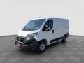 usato FIAT Ducato