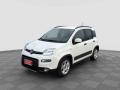 usato FIAT Panda