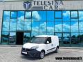 usato FIAT Doblo