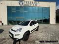 usato FIAT Panda