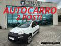 usato FIAT Panda