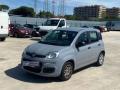 usato FIAT Panda