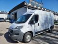 usato FIAT Ducato
