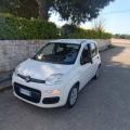 usato FIAT Panda