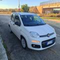 usato FIAT Panda