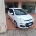 usato FIAT Panda
