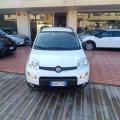 usato FIAT Panda